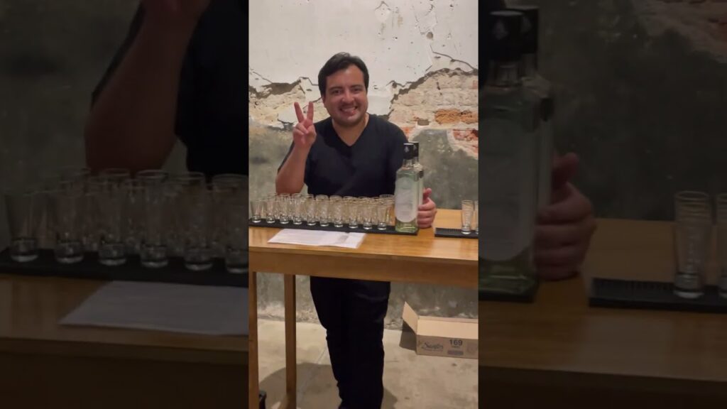 Private mezcal or tequila tasting in Mexico City