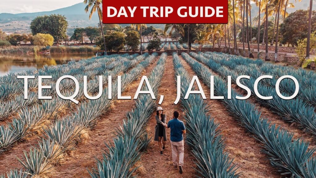 VIP tequila distillery tour near Mexico City